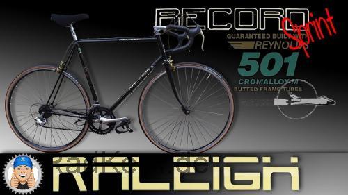 Raleigh Sprint  technische daten 
